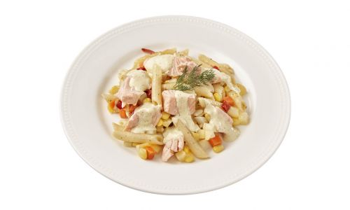 Carezzo Pasta Penne met Zalm & Groeten